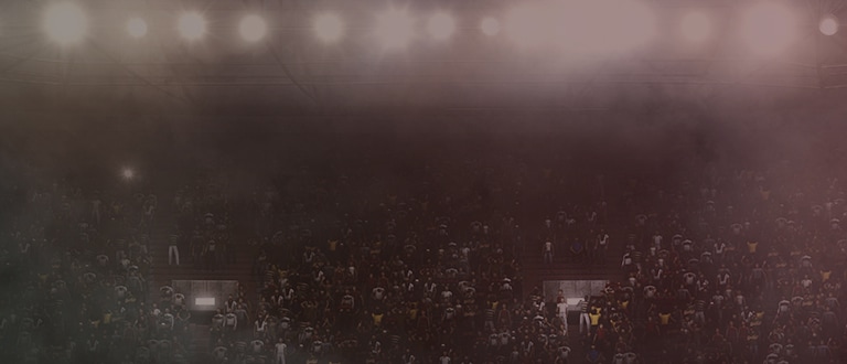 Large crowd and lights